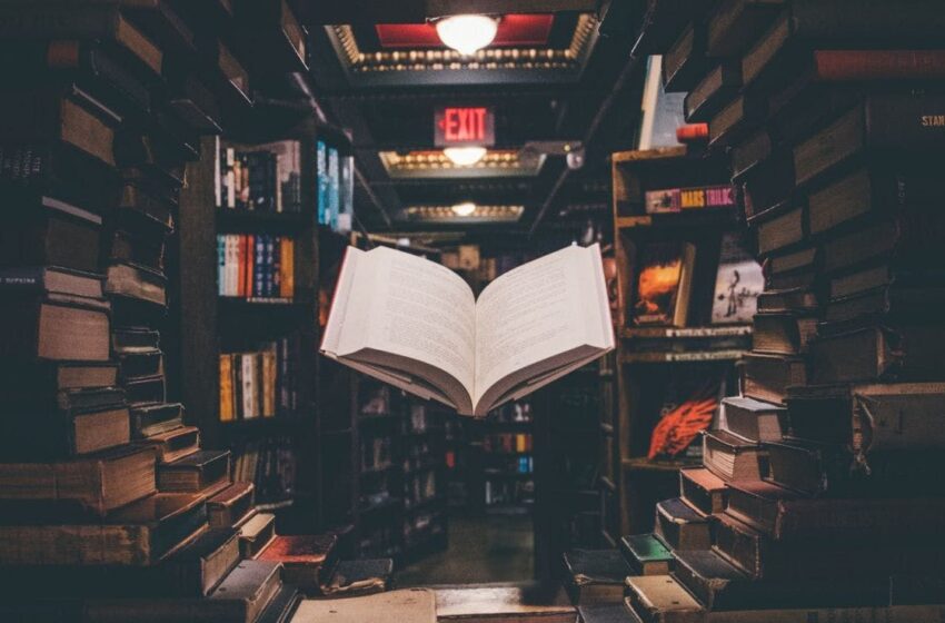 These Books Can Re-Engineer Your Brain.